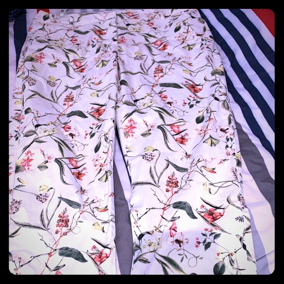 Capri - Picture 1 of 1